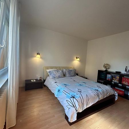 Superbe Appartement Avec Belle Terrasse Bischheim Exterior photo